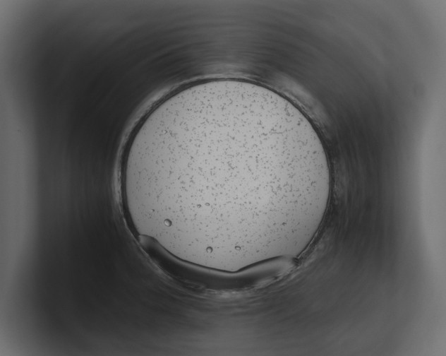 X0000100351188200806271355