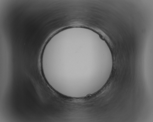 X0000100351191200806271355