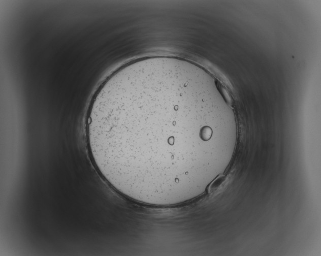 X0000100351192200806271355