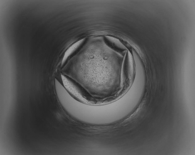 X0000100351193200806271355