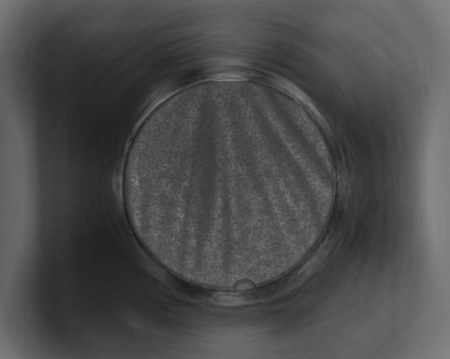 X0000100351194200806271355