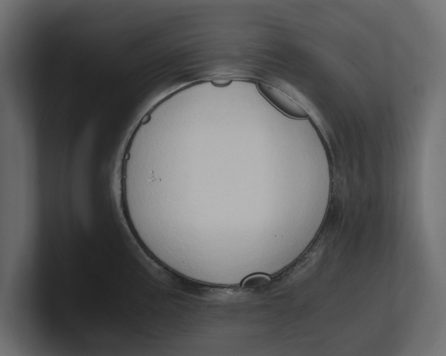 X0000100351195200806271355