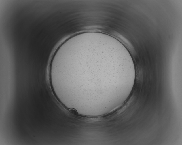 X0000100351196200806271355