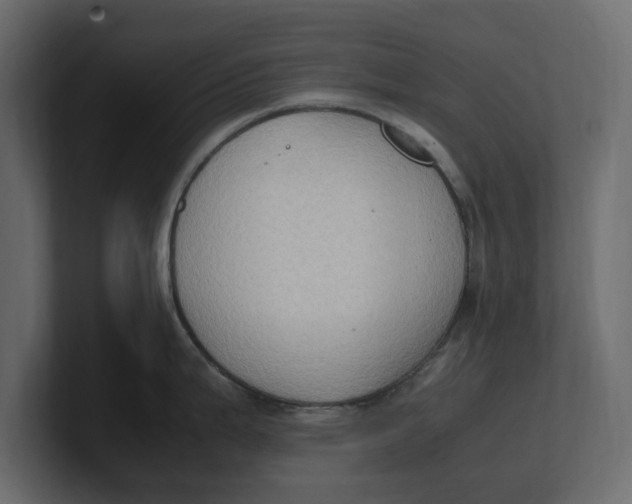 X0000100351199200806271355