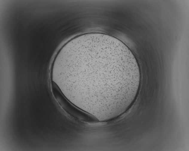 X0000100351200200806271355