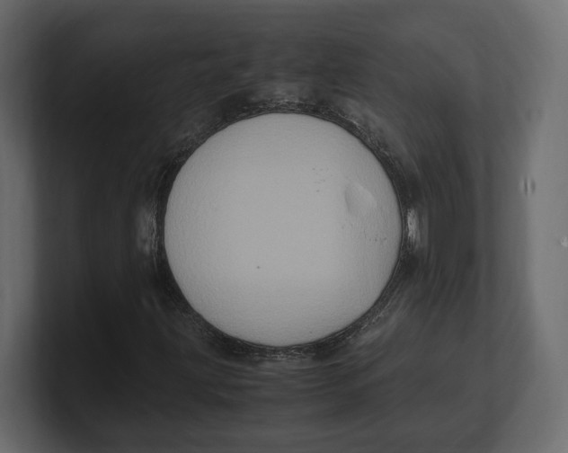 X0000100351203200806271355