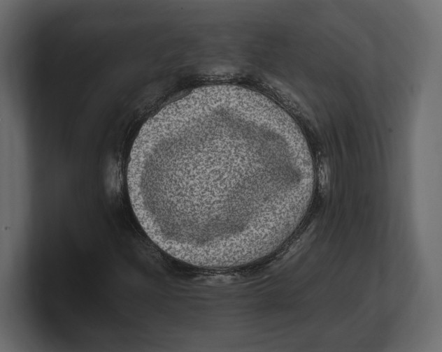 X0000100351204200806271355