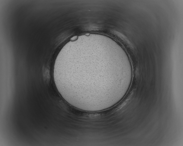 X0000100351209200806271355