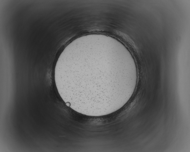 X0000100351217200806271355