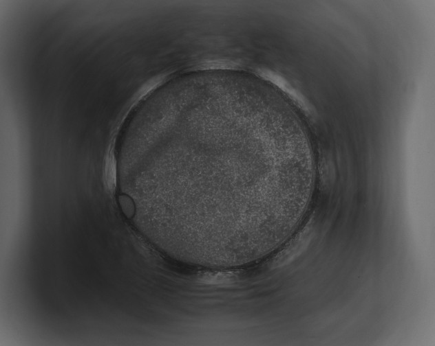 X0000100351221200806271355