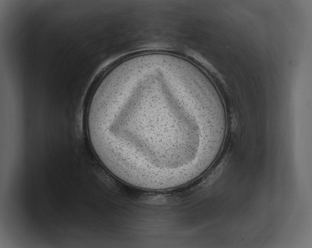 X0000100351222200806271355