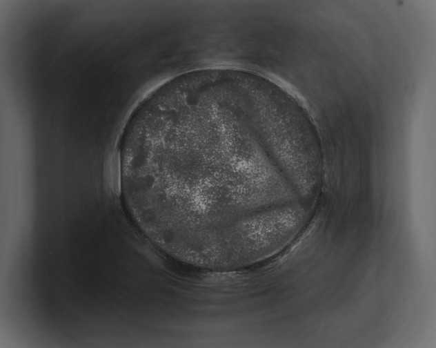 X0000100351223200806271355