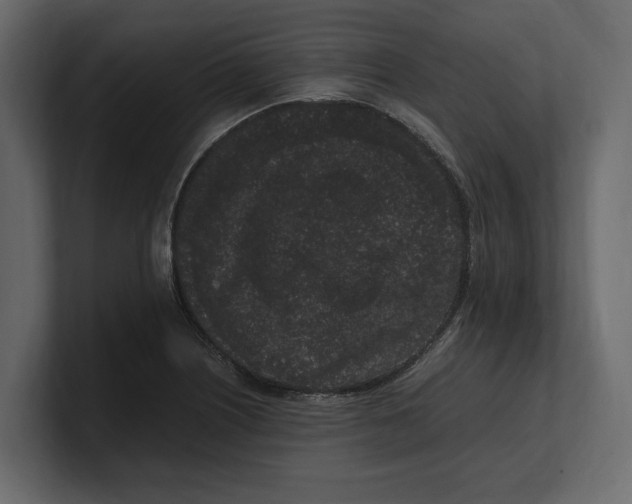 X0000100351226200806271355