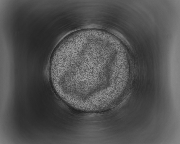 X0000100351228200806271355