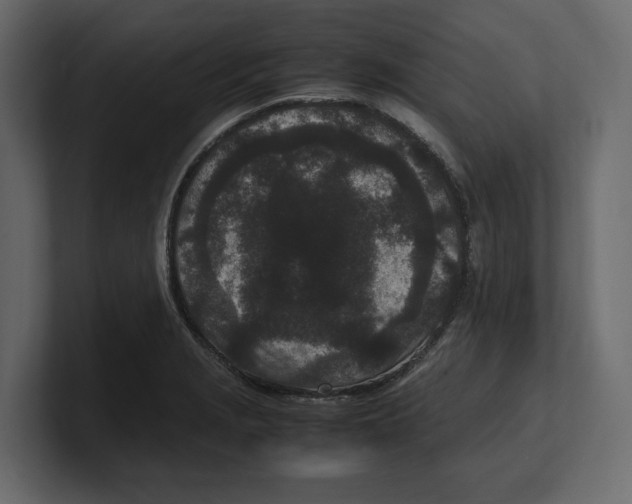 X0000100351229200806271355