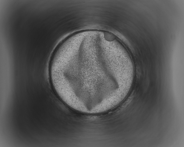 X0000100351230200806271355