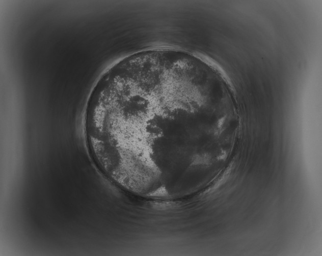 X0000100351231200806271355