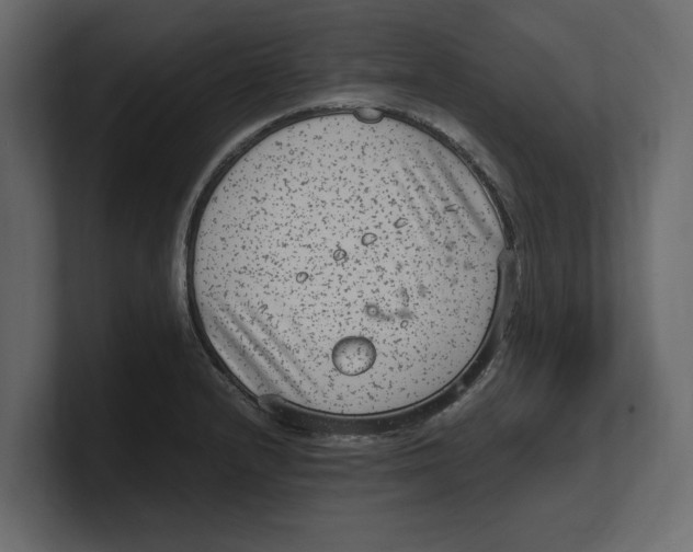 X0000100351232200806271355