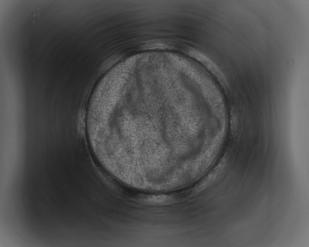 X0000100351233200806271355