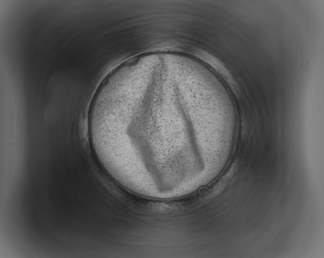 X0000100351234200806271355