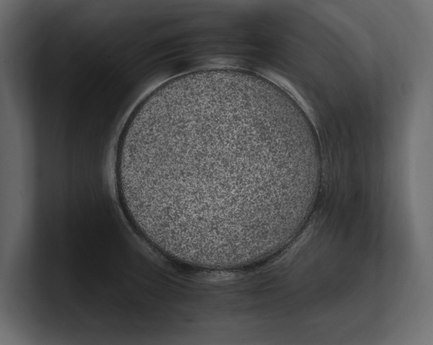 X0000100351235200806271355