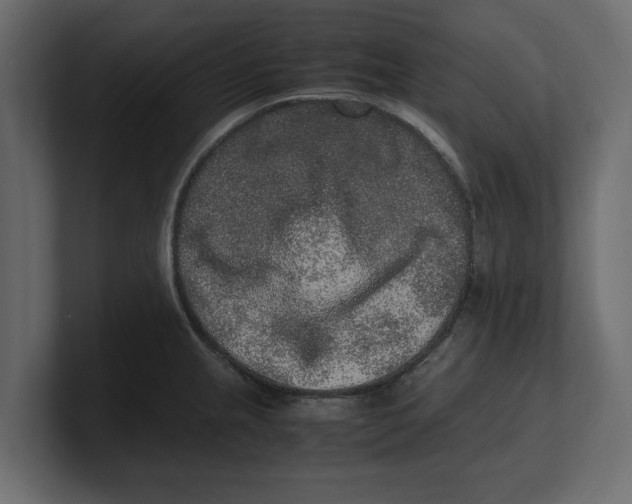 X0000100351237200806271355