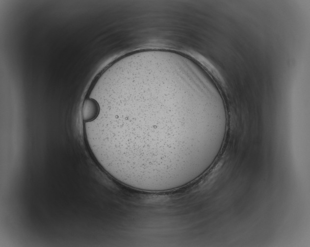 X0000100351238200806271355