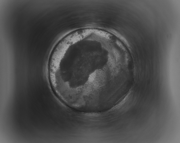 X0000100351239200806271355