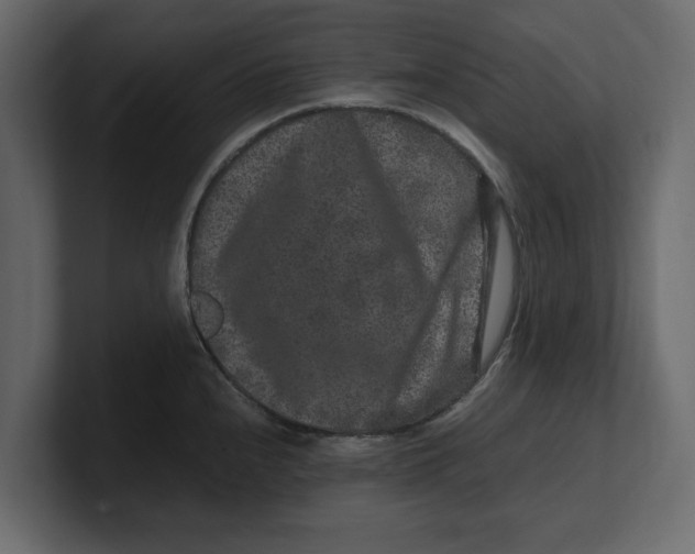 X0000100351240200806271355