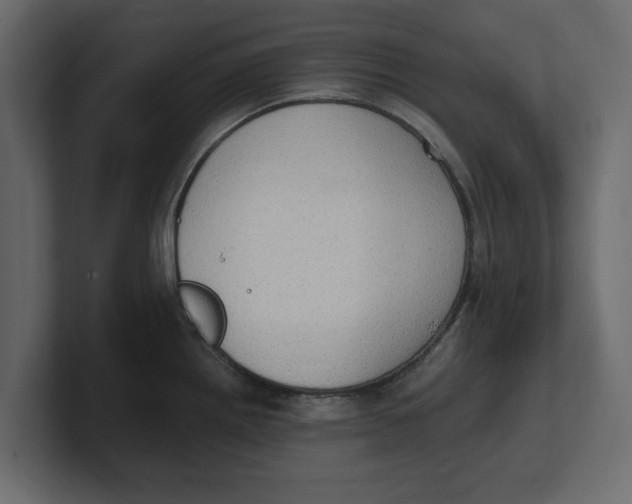 X0000100351242200806271355