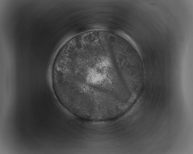 X0000100351243200806271355