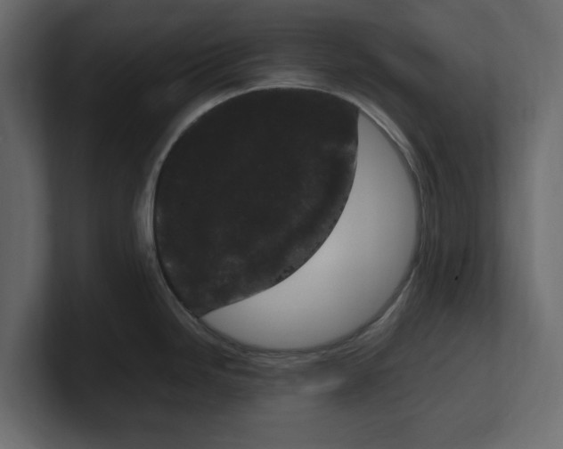 X0000100351246200806271355