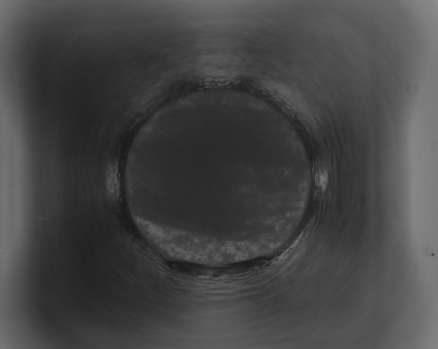 X0000100351252200806271354