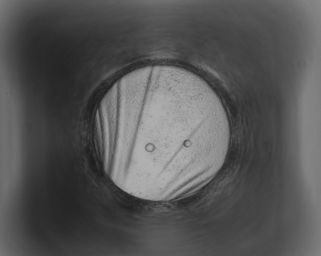 X0000100351255200806271354