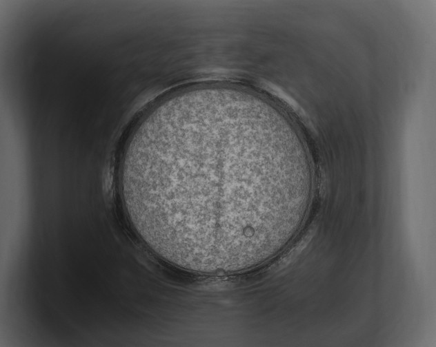 X0000100351259200806271354