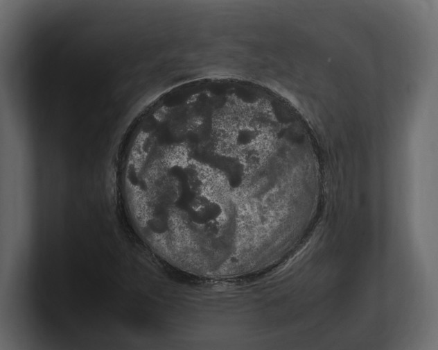 X0000100351263200806271354