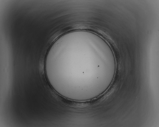 X0000100351273200806271354