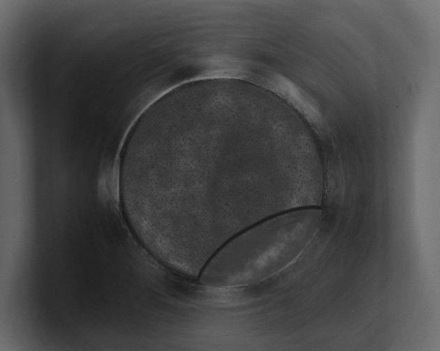 X0000100351276200806271354