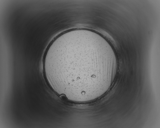 X0000100351280200806271354