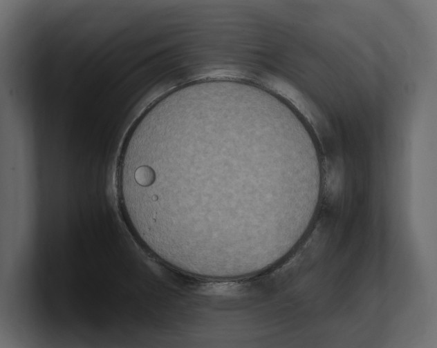 X0000100351282200806271354