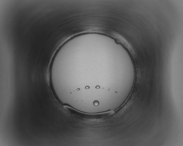 X0000100351284200806271354