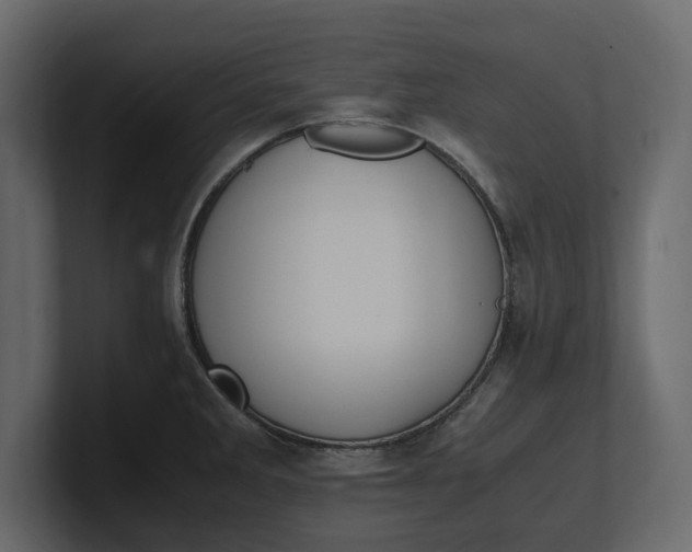 X0000100351285200806271354