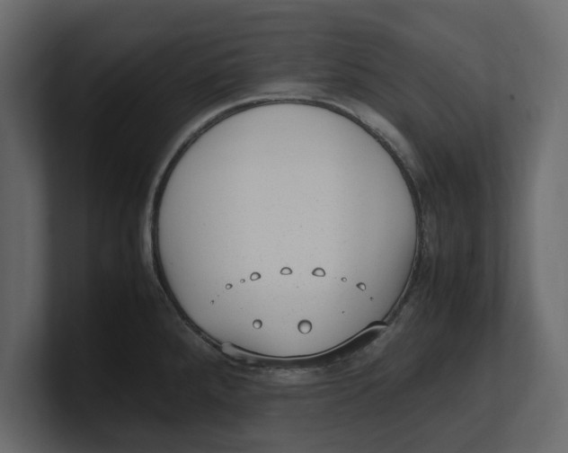 X0000100351288200806271354