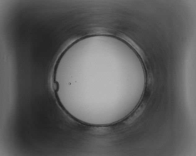 X0000100351293200806271354