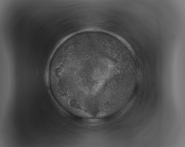 X0000100351295200806271354