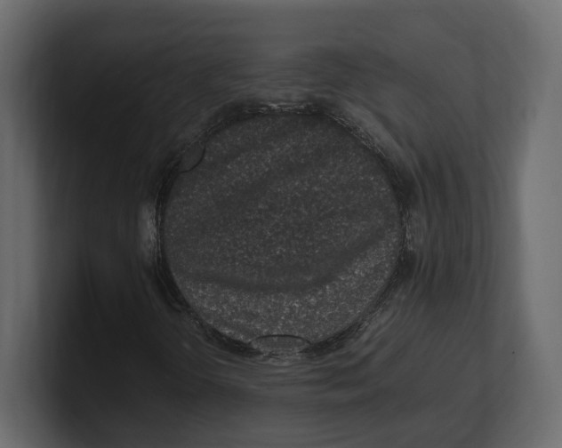 X0000100351298200806271353