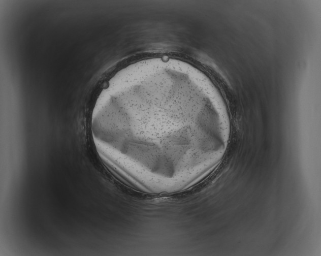 X0000100351304200806271353