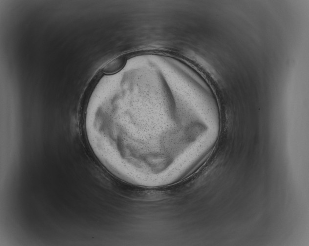 X0000100351308200806271353