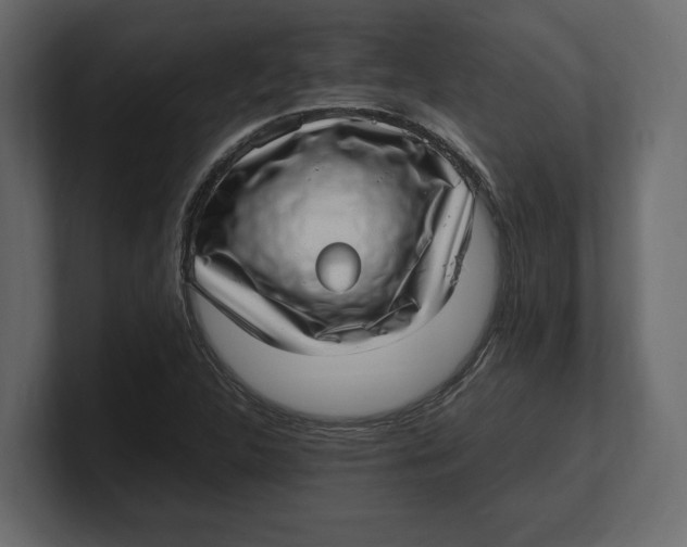 X0000100351312200806271353
