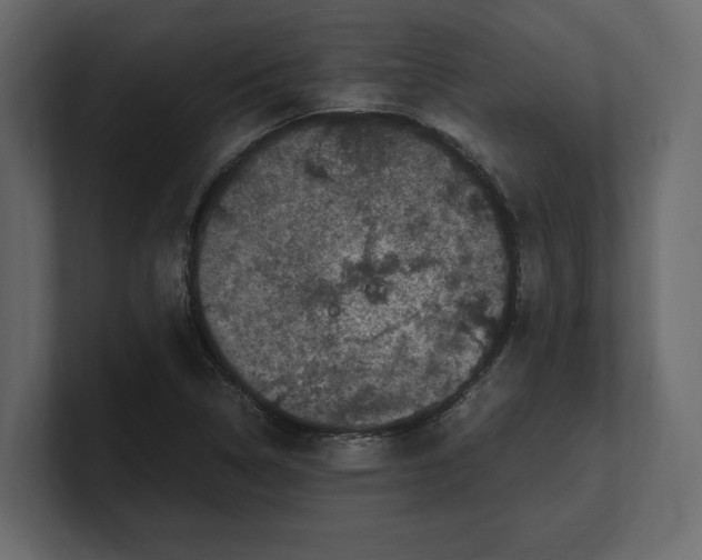 X0000100351314200806271353